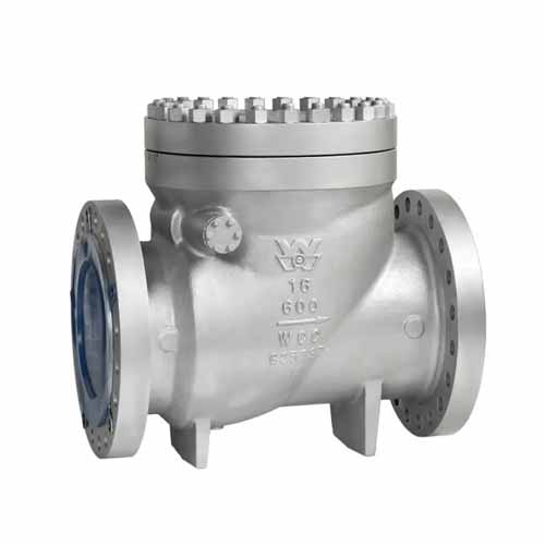 Swing and dual plate check valves